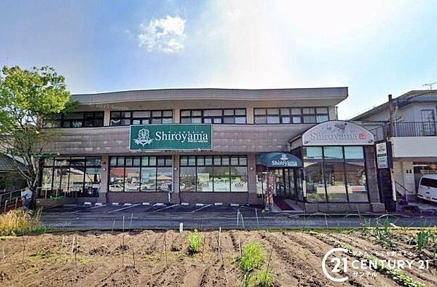 城山ストアー城山店まで1200m