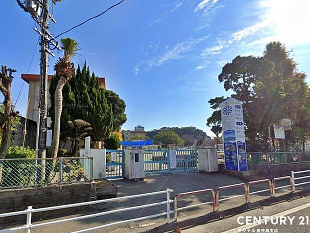 鹿児島市立清水小学校まで260m