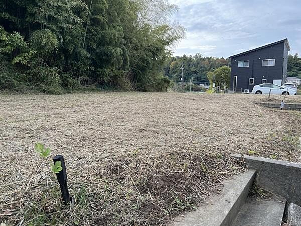 外観：312001131924