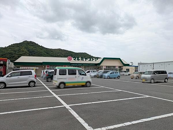 マルミヤストア 野田店まで780m、マルミヤストア 野田店まで780m