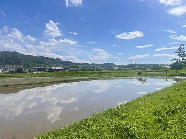 2023年6月撮影