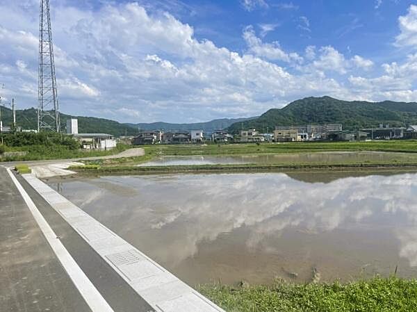 2023年6月撮影