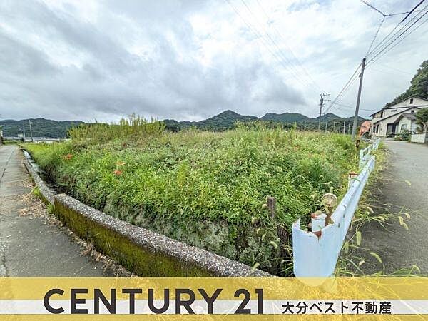 外観：344000019466