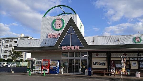 新鮮市場新川店まで1110m、新鮮市場新川店まで1110ｍ