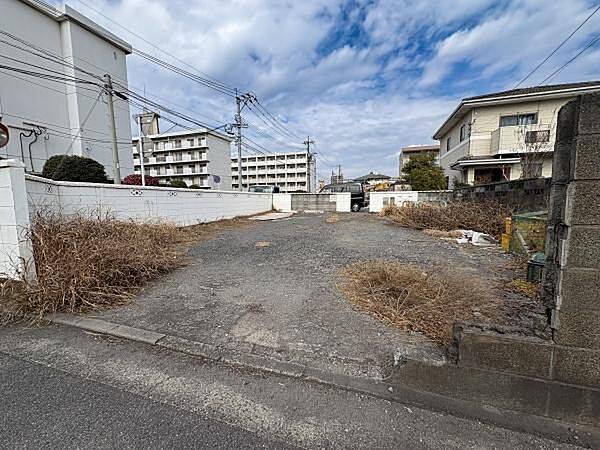 現地写真(2026年2月撮影)