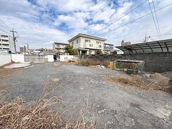 現地写真(2026年2月撮影)