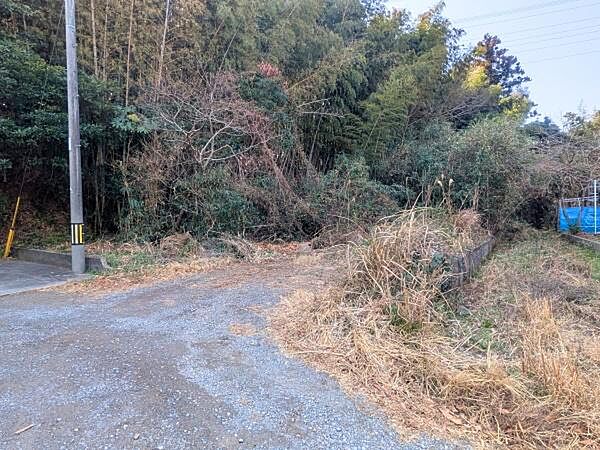 現地土地写真(2026年2月撮影)