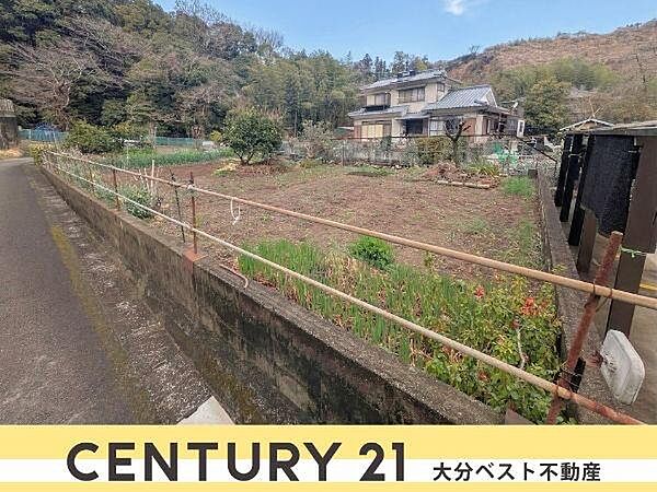 外観：344000019617