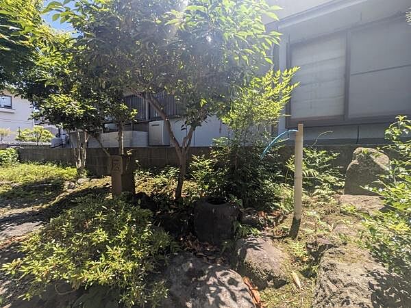 木々や植物が多く配置されており自然の雰囲気を感じられる庭です。明るい陽射しが差し込み石や植栽が落ち着いた印象を与えます。和の雰囲気が感じられる外観と調和しています。