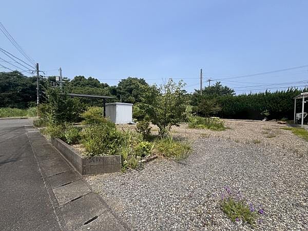 現地写真(2026年7月撮影)