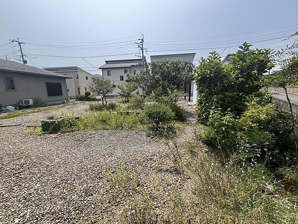 現地写真(2026年7月撮影)