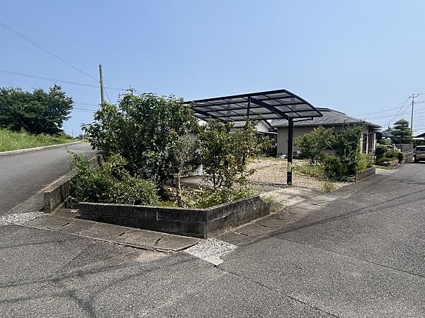現地写真(2026年7月撮影)