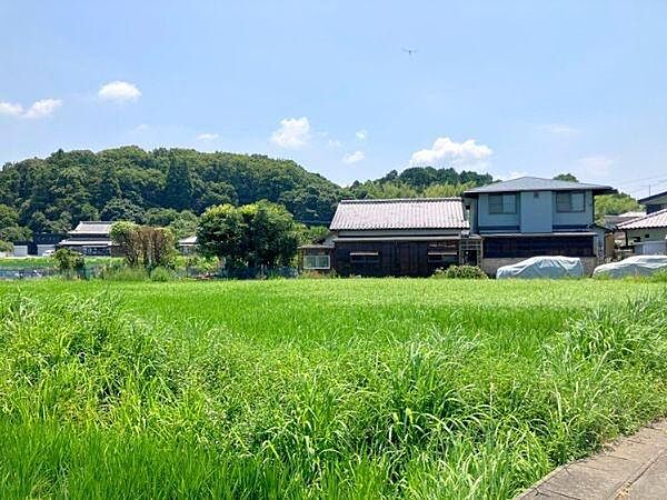 現地土地写真(2026年8月撮影)