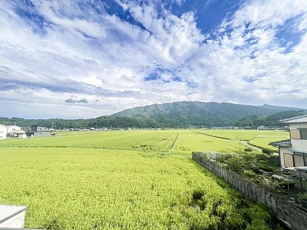 広がる田園風景と遠くにそびえる山々が調和した開放感ある眺めが楽しめます。空が大きく感じられる景色で自然の移り変わりを身近に感じられます。窓から見える一面の緑が日々の生活に落ち着きを与えてくれます。