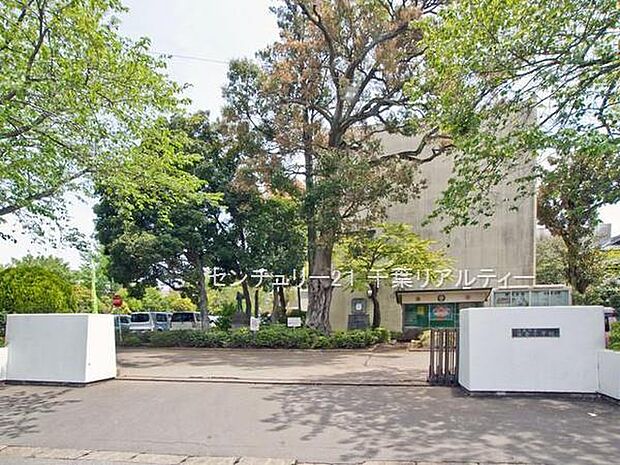 佐倉市立佐倉小学校まで1300m