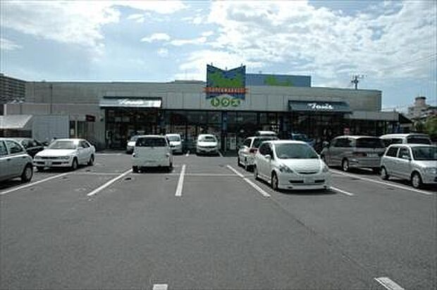 トウズ京成佐倉店まで1252m