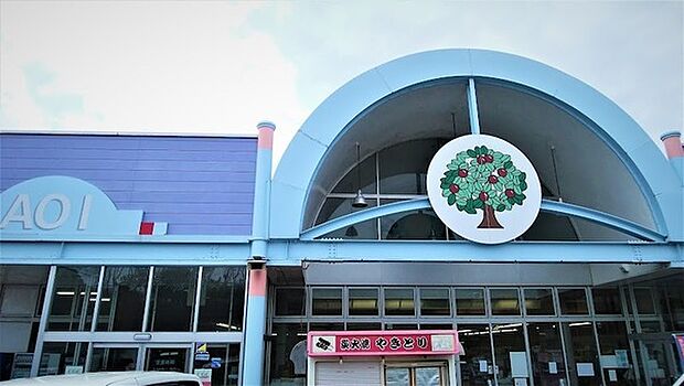 アオイストアーまで1115m