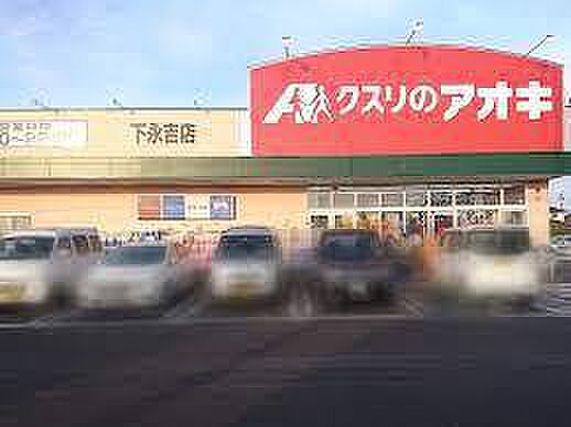 クスリのアオキ下永吉店まで1003m