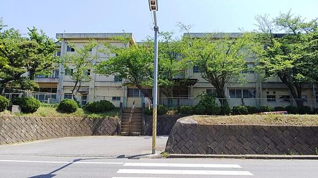 千葉市立こてはし台中学校まで1426m