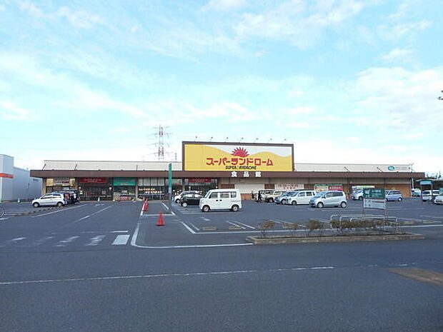ランドロームフードマーケット富津店まで1067m