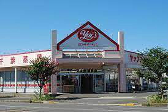 ヤックスドラッグ袖ケ浦店まで403m