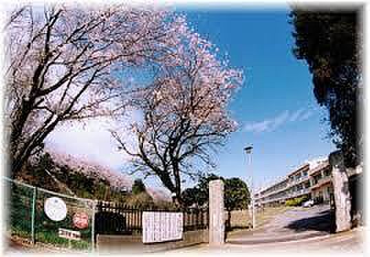 千葉市立椎名小学校まで1755m