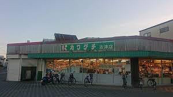 スーパーチェーンカワグチ志津店まで572m