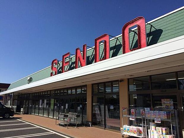 せんどう島野店まで1132m