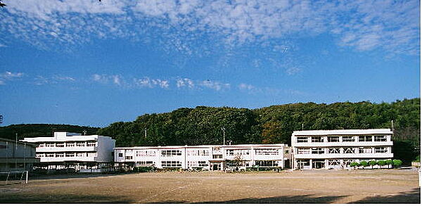 木更津市立波岡小学校まで2305m