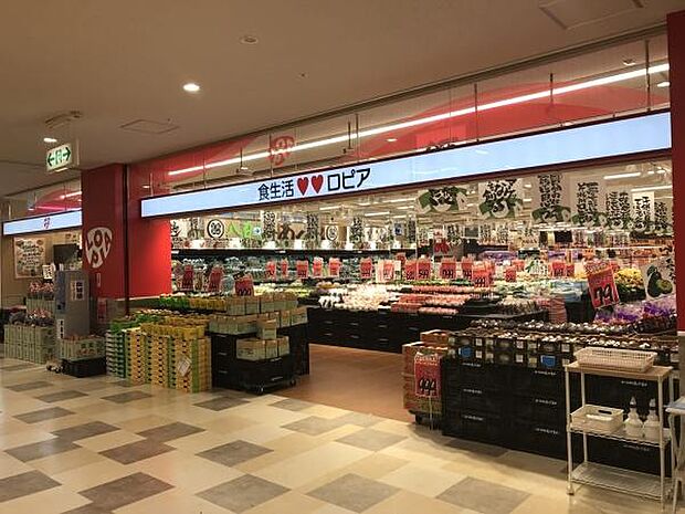 ロピア千城台店まで995m