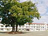 周辺：千葉市立誉田小学校まで1118m