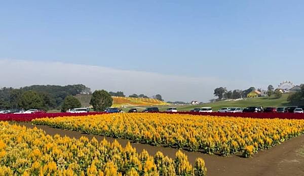 東京ドイツ村まで2254m