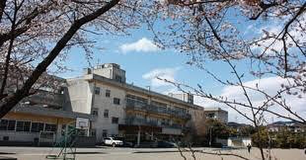 千葉市立都賀の台小学校まで1117m