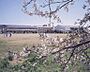周辺：君津市立君津中学校まで1560m