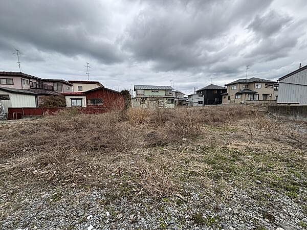 外観：302000008106