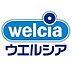 周辺：ウエルシア岸和田西之内店まで266m