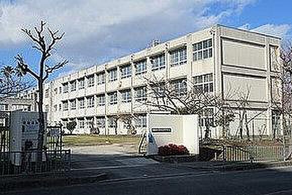 堺市立美木多中学校まで1204m