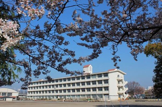 藤枝市立青島東小学校まで1160m