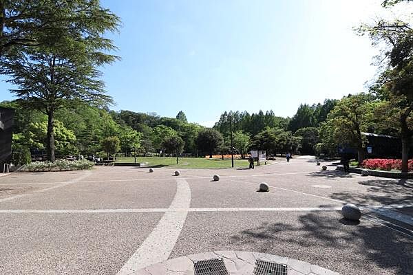 生田緑地まで450m、多摩丘陵に広がる川崎市最大の緑地。芝生広場、自然探勝路の他、プラネタリウムを持つ「かわさき宙と緑の科学館」などがあります