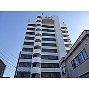 サングローリ 11階 築36年8ヶ月の賃貸物件