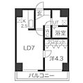 フロムコート3階4.5万円