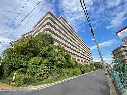 JR阪和線・南海電鉄高野線の三国ヶ丘駅から徒歩10分!敷地内公園も有ります。周辺はスーパー・コンビニエンスストアが至近で、駅へはけやき通りを歩いて向かえます。