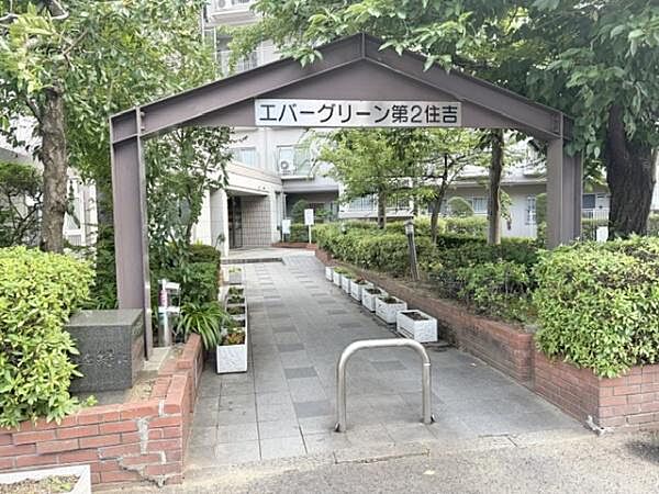 緑豊かなアプローチです。