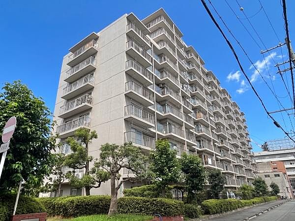 南側の外観です。