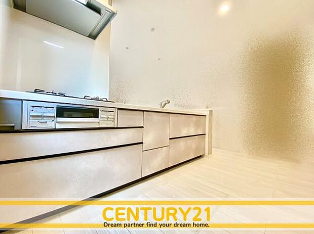 同仕様写真(キッチン)