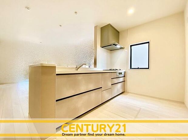 同仕様写真(キッチン)