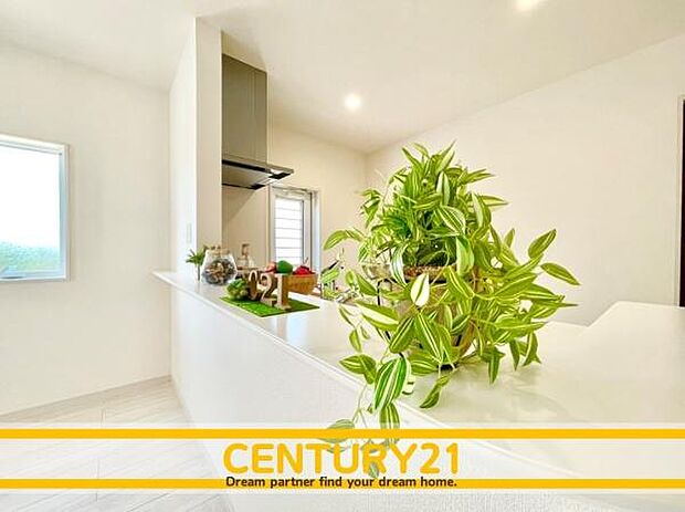 同仕様写真(リビング)