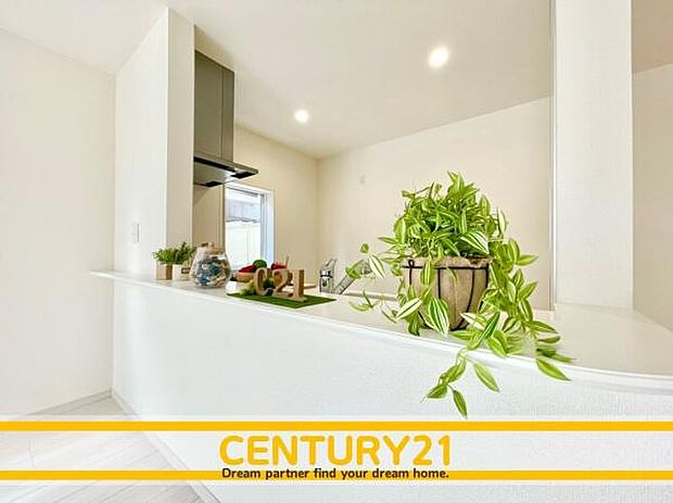 同仕様写真（リビング）