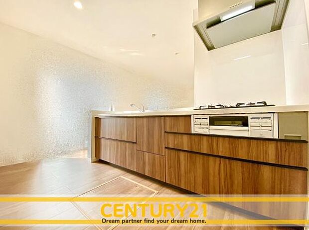 同仕様写真（キッチン）