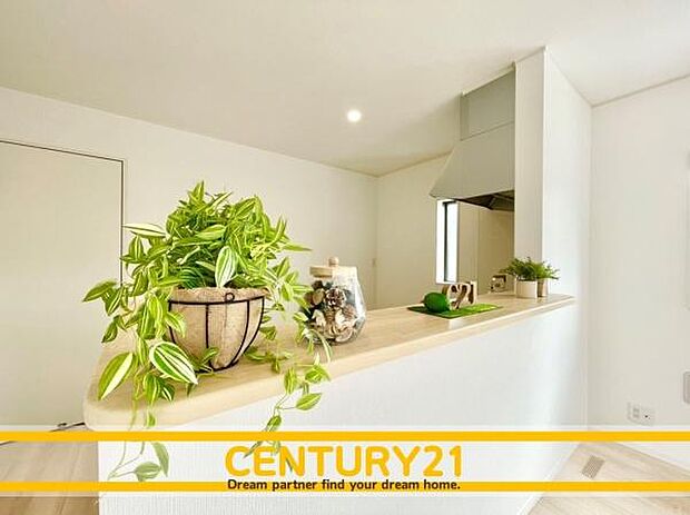 同仕様写真（リビング）